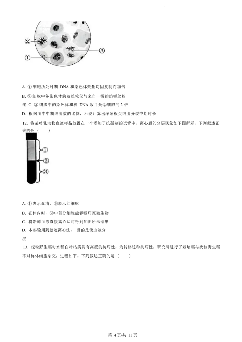 生物试题（原卷版）_2024-2025高二（7-7月题库）_2024年07月试卷_0703浙江省绍兴市2023-2024学年高二下学期6月期末调测考试_浙江省绍兴市2023-2024学年高二下学期6月期末调测考试生物