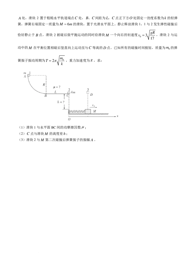 湖南省湖南师范大学附属中学2025届高三上学期月考（二）物理_2024-2025高三（6-6月题库）_2024年10月试卷_10072025届湖南省&rdquo;炎德英才&ldquo;师大附中高三10月月考