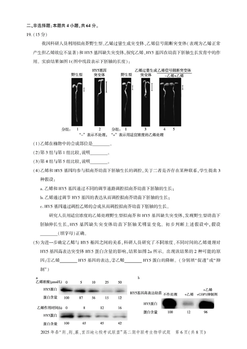 高二期中联考-生物试卷_2024-2025高二（7-7月题库）_2025年05月试卷_0521湖北省&ldquo;荆、荆、襄、宜四地七校考试联盟&rdquo;2024-2025学年高二下学期期中联考
