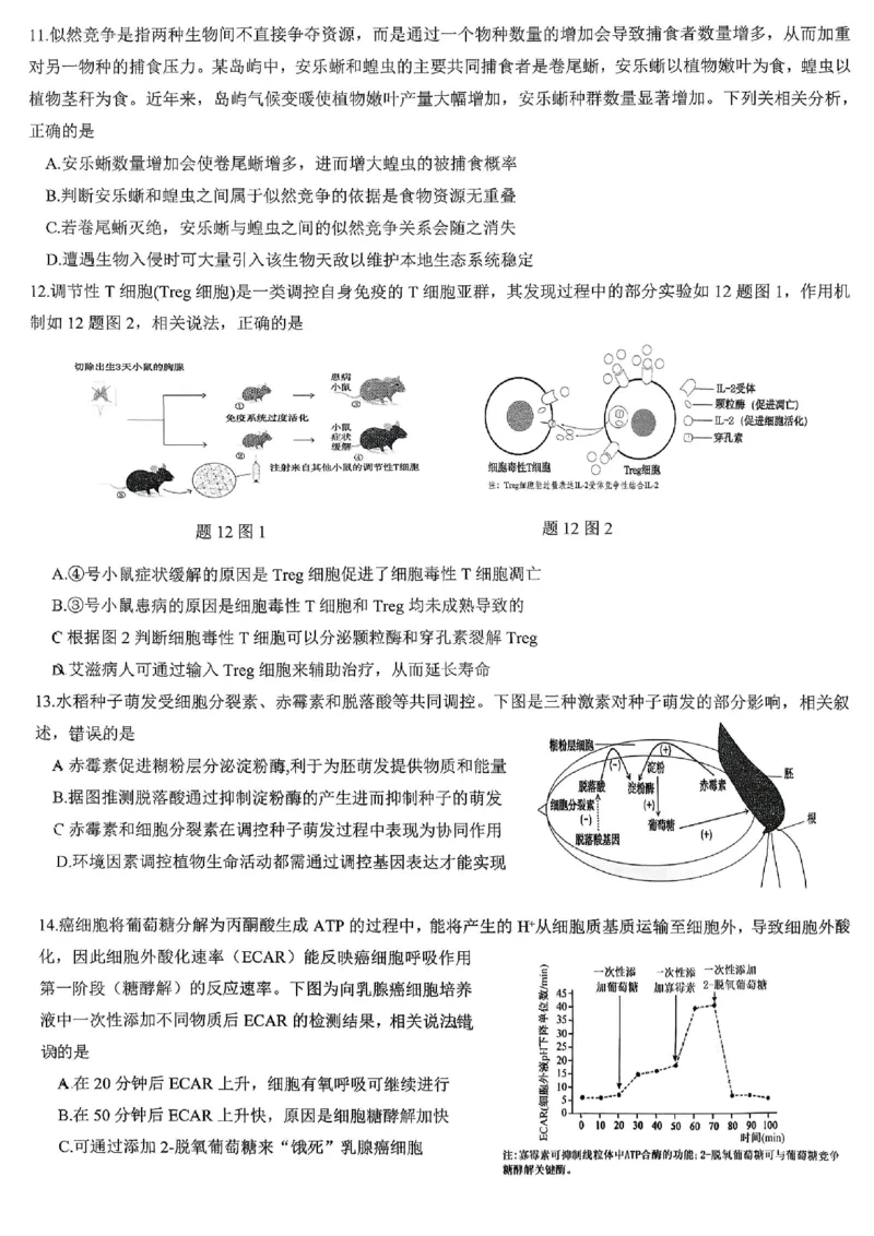 育才中学校高2026届一诊模拟考试生物_2024-2026高三（6-6月题库）_2026年01月高三试卷_0114重庆市育才中学校高2026届一诊模拟考试（全）