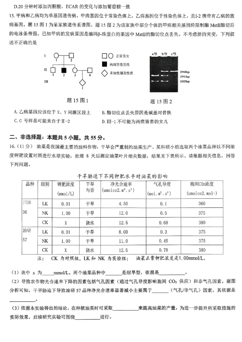 育才中学校高2026届一诊模拟考试生物_2024-2026高三（6-6月题库）_2026年01月高三试卷_0114重庆市育才中学校高2026届一诊模拟考试（全）