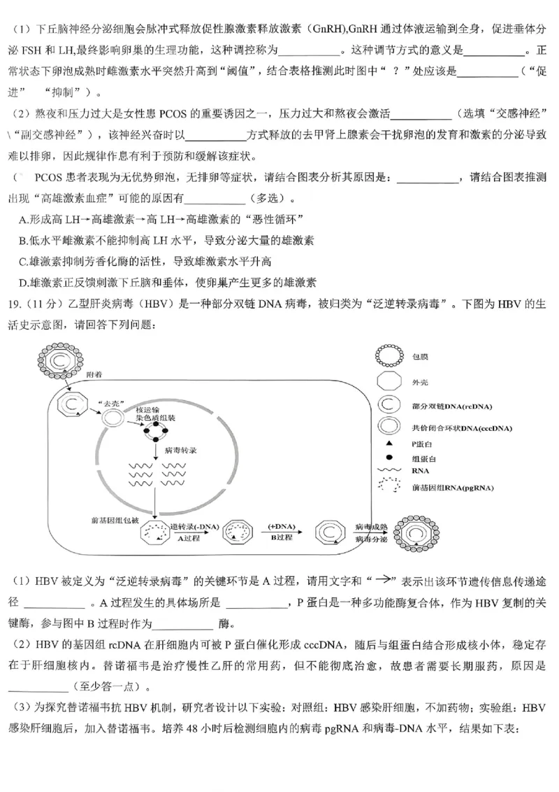 育才中学校高2026届一诊模拟考试生物_2024-2026高三（6-6月题库）_2026年01月高三试卷_0114重庆市育才中学校高2026届一诊模拟考试（全）