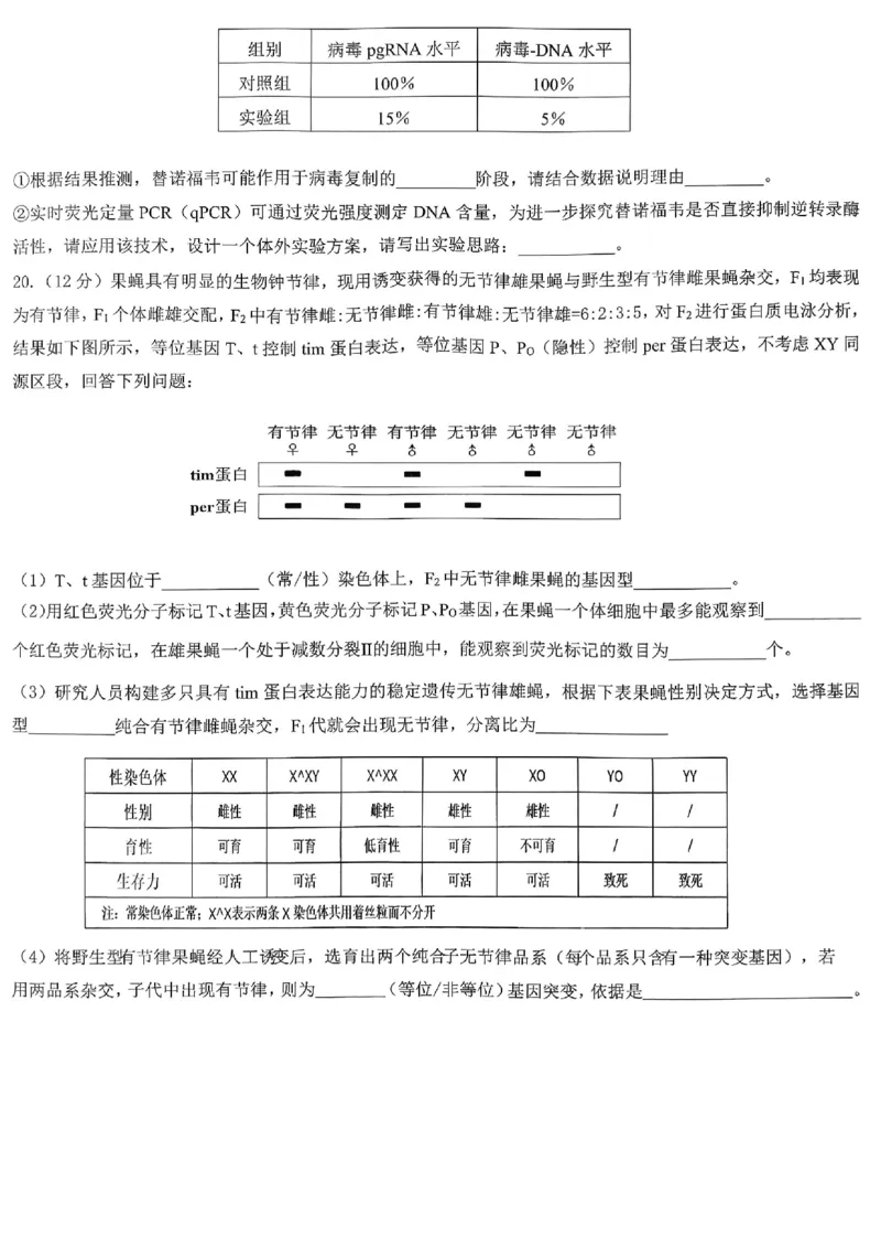 育才中学校高2026届一诊模拟考试生物_2024-2026高三（6-6月题库）_2026年01月高三试卷_0114重庆市育才中学校高2026届一诊模拟考试（全）