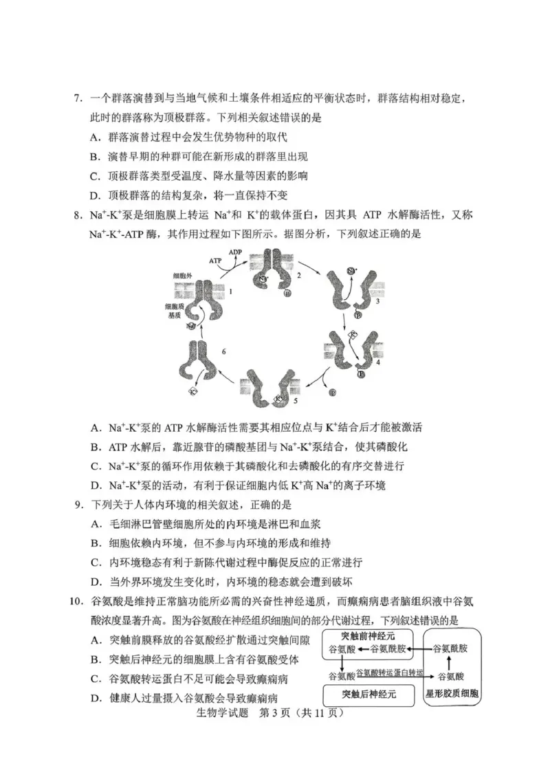 长春市2026届高三质量监测（一）生物_2024-2026高三（6-6月题库）_2026年01月高三试卷_0107吉林省长春市2026届高三质量监测（一）（长春一模）（全）