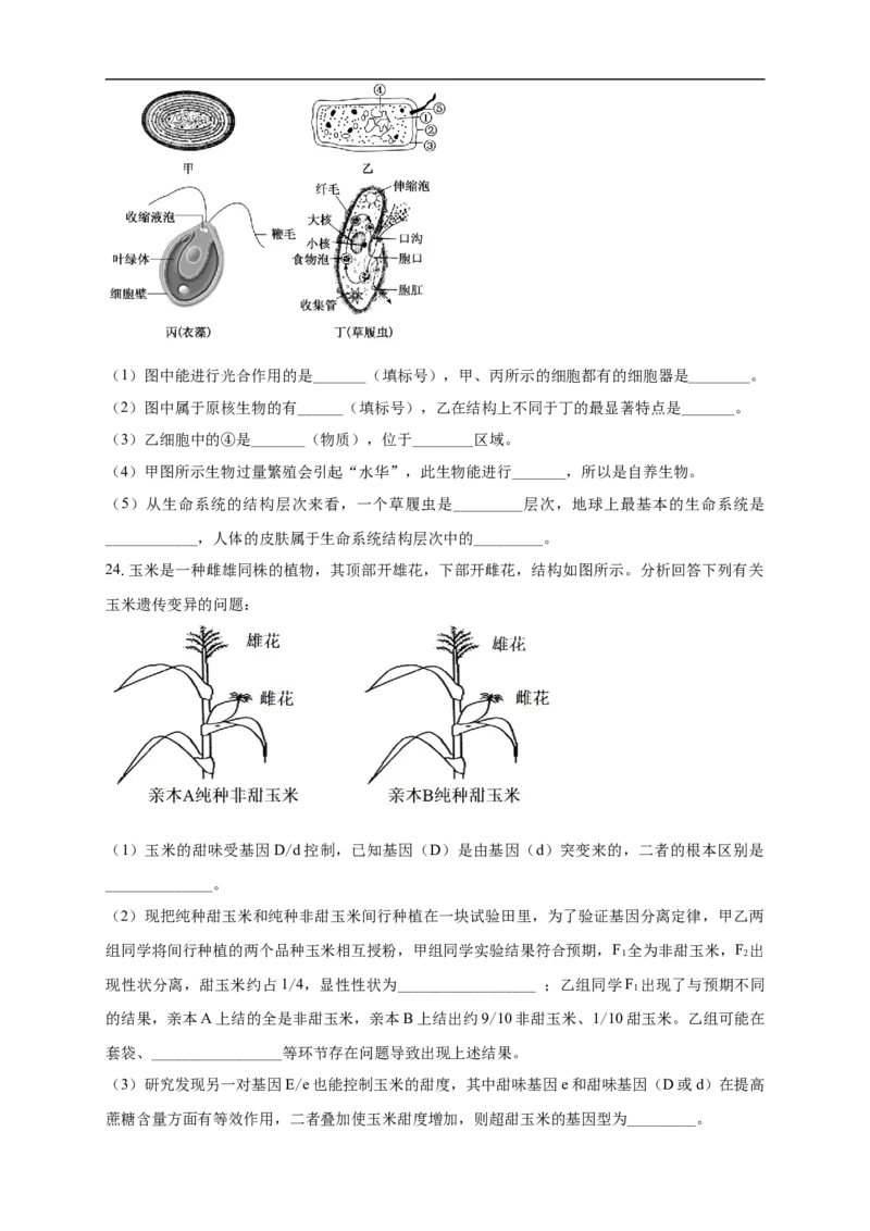 白城实验高中2025-2026学年度高二上学期第一次月考生物试卷_2025年10月高二试卷_251024吉林省白城市实验高级中学2025-2026学年高二上学期10月月考
