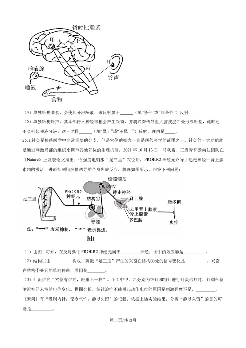 精品解析：辽宁省辽西重点高中2025-2026学年高二上学期10月联考生物试题（原卷版）_2025年10月高二试卷_251028辽西重点高中2025-2026学年高二上学期10月月考（全）