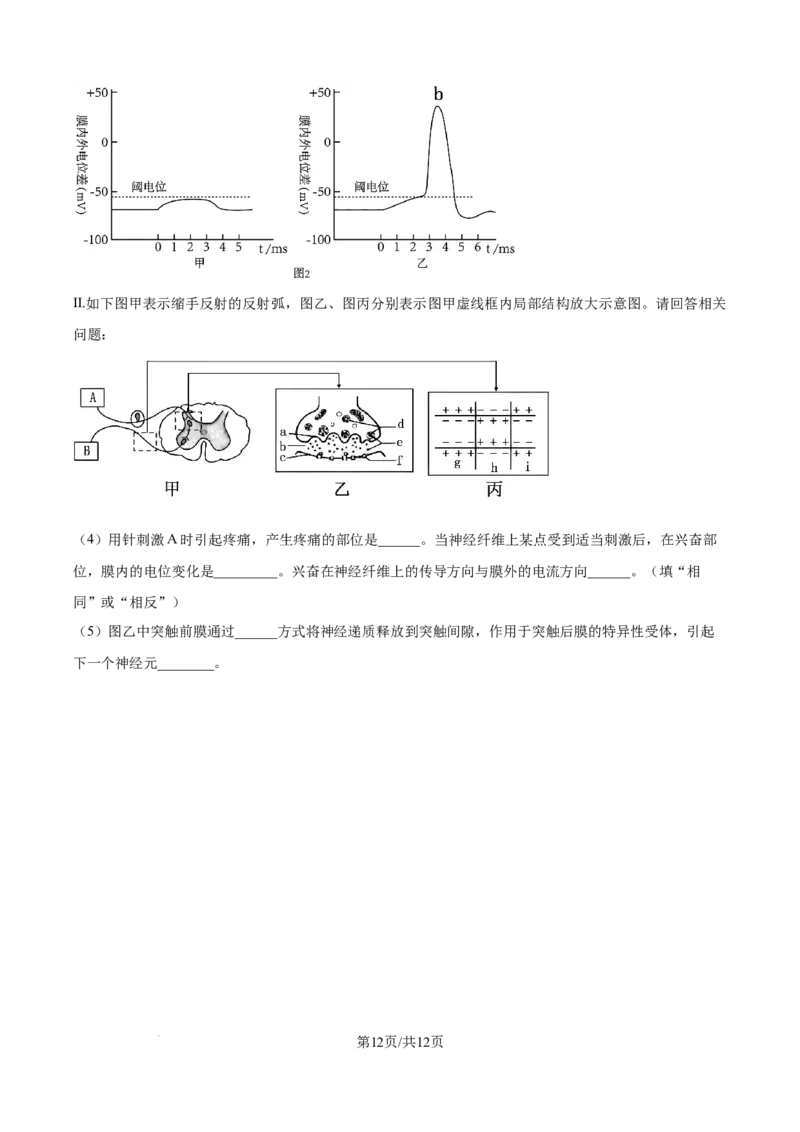 精品解析：辽宁省辽西重点高中2025-2026学年高二上学期10月联考生物试题（原卷版）_2025年10月高二试卷_251028辽西重点高中2025-2026学年高二上学期10月月考（全）
