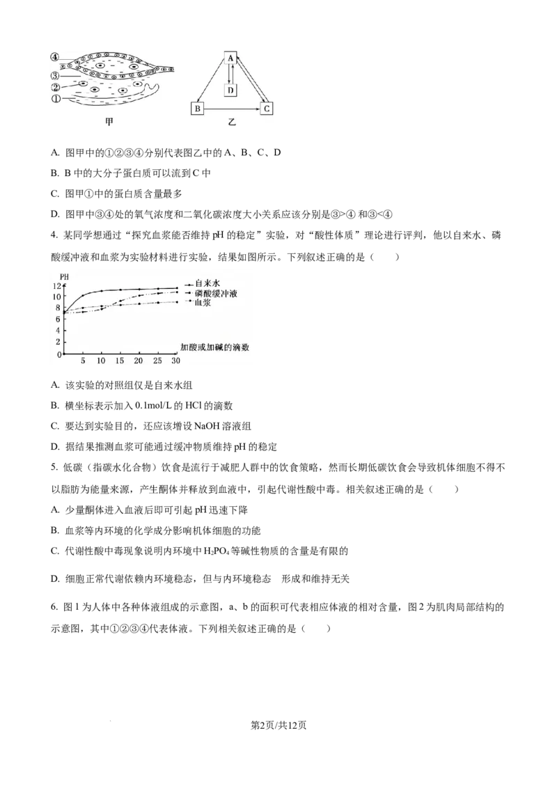 精品解析：辽宁省辽西重点高中2025-2026学年高二上学期10月联考生物试题（原卷版）_2025年10月高二试卷_251028辽西重点高中2025-2026学年高二上学期10月月考（全）