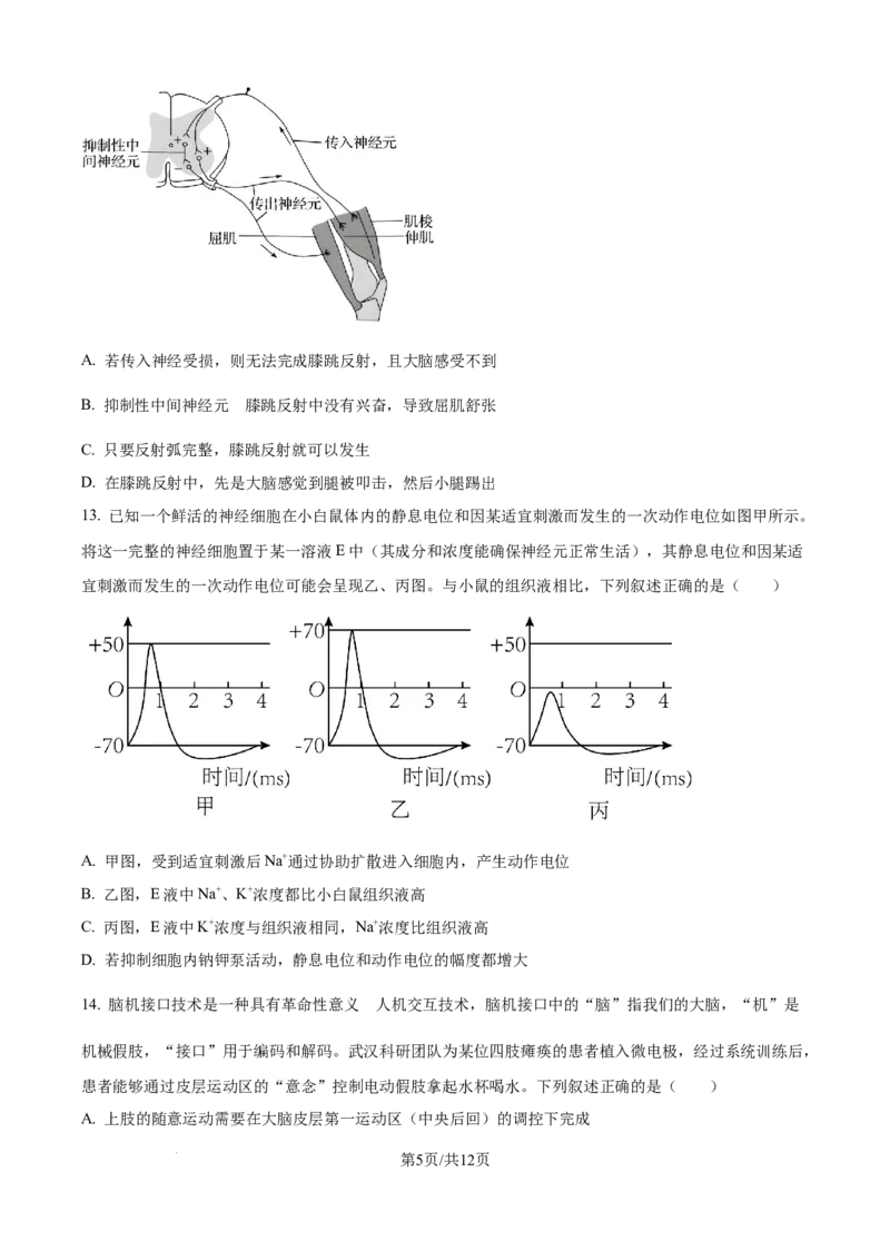精品解析：辽宁省辽西重点高中2025-2026学年高二上学期10月联考生物试题（原卷版）_2025年10月高二试卷_251028辽西重点高中2025-2026学年高二上学期10月月考（全）