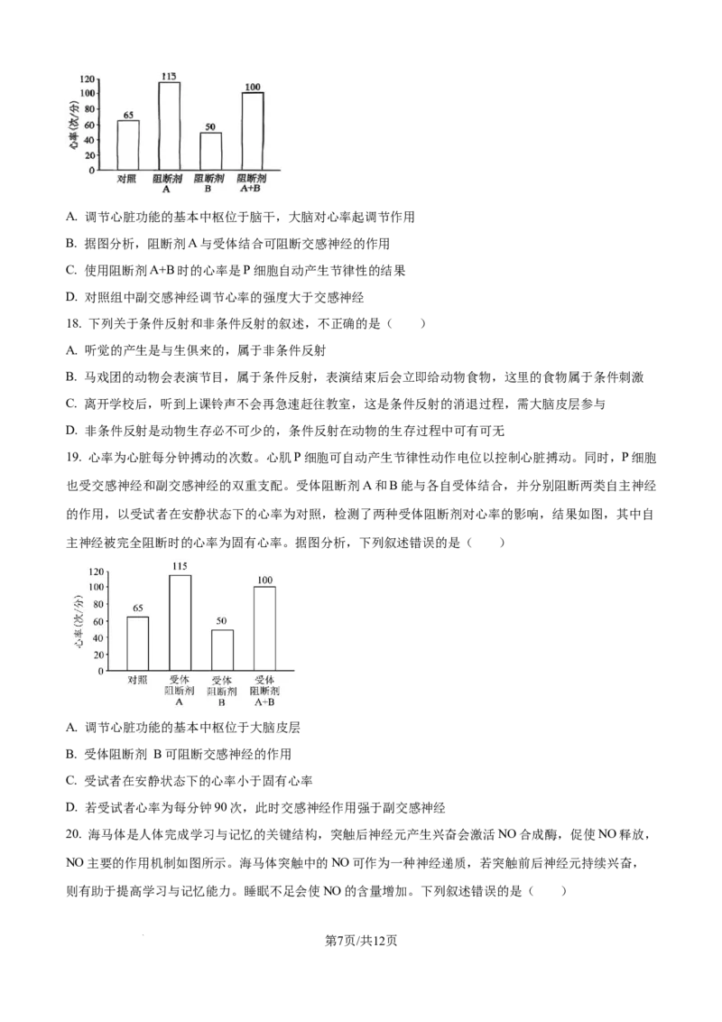 精品解析：辽宁省辽西重点高中2025-2026学年高二上学期10月联考生物试题（原卷版）_2025年10月高二试卷_251028辽西重点高中2025-2026学年高二上学期10月月考（全）