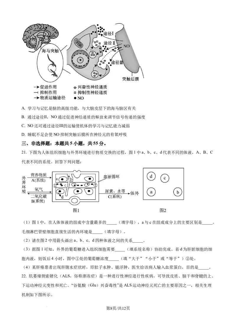 精品解析：辽宁省辽西重点高中2025-2026学年高二上学期10月联考生物试题（原卷版）_2025年10月高二试卷_251028辽西重点高中2025-2026学年高二上学期10月月考（全）