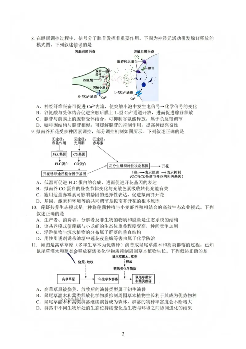 生物-江苏G4联考2026届高三年级上学期12月测试(南师附中、天一、海安、海门)_2024-2026高三（6-6月题库）_2025年12月高三试卷