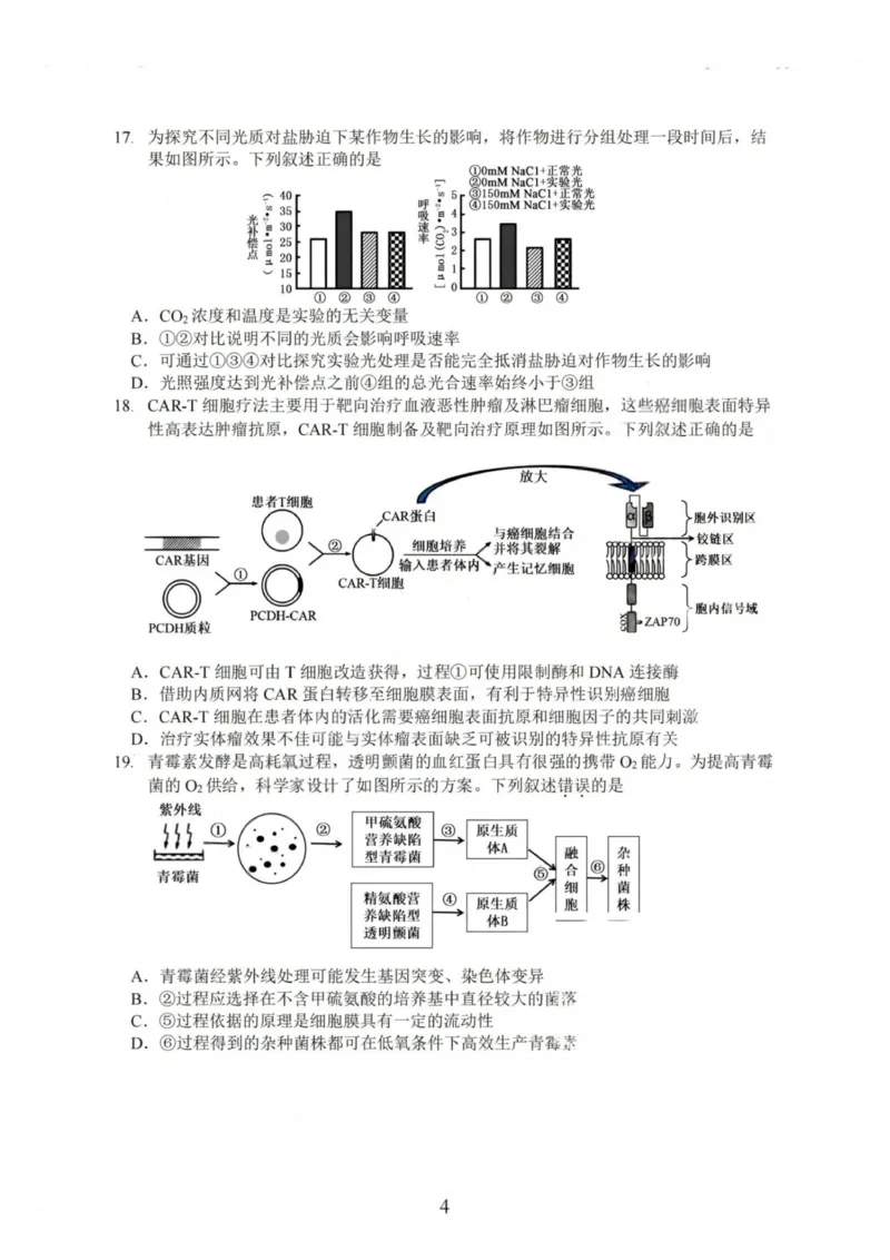 生物-江苏G4联考2026届高三年级上学期12月测试(南师附中、天一、海安、海门)_2024-2026高三（6-6月题库）_2025年12月高三试卷