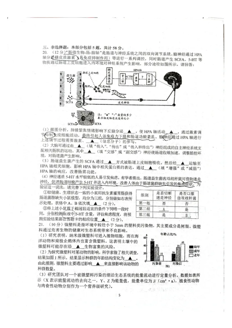 生物-江苏G4联考2026届高三年级上学期12月测试(南师附中、天一、海安、海门)_2024-2026高三（6-6月题库）_2025年12月高三试卷