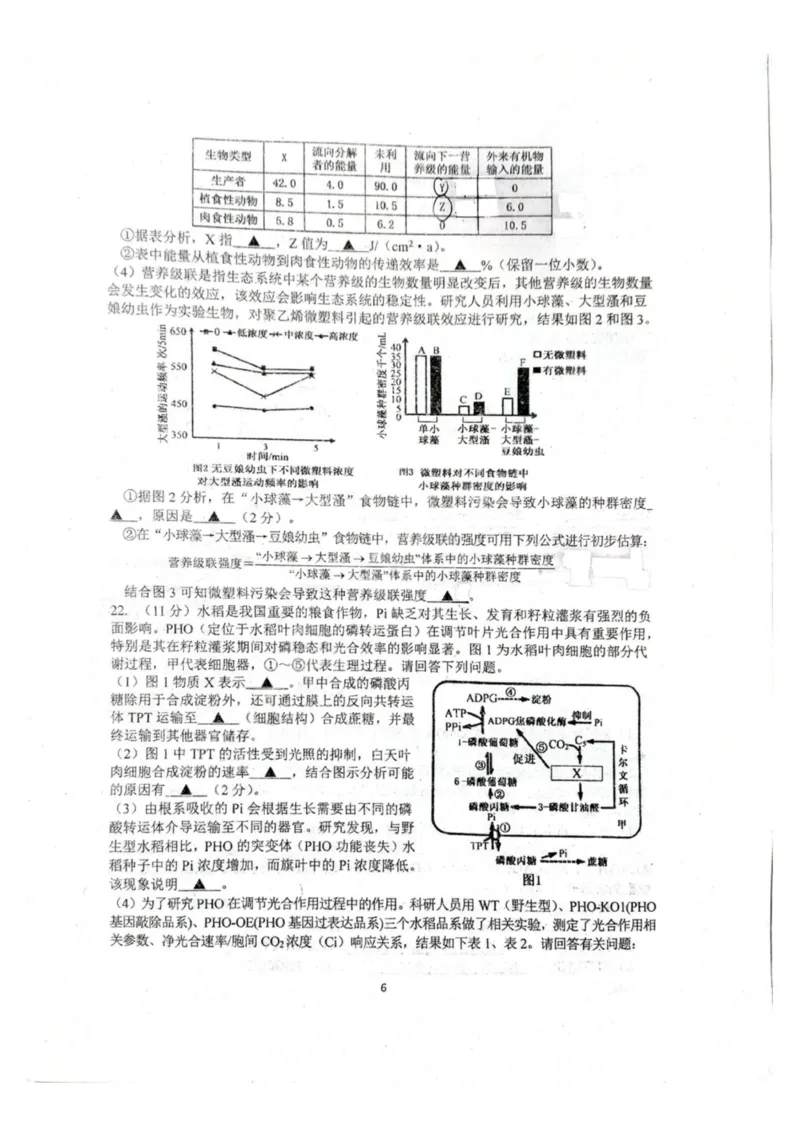 生物-江苏G4联考2026届高三年级上学期12月测试(南师附中、天一、海安、海门)_2024-2026高三（6-6月题库）_2025年12月高三试卷