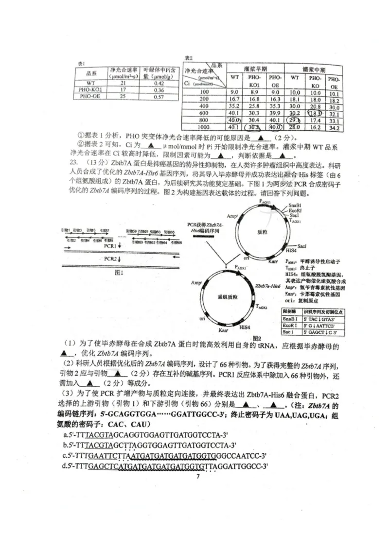 生物-江苏G4联考2026届高三年级上学期12月测试(南师附中、天一、海安、海门)_2024-2026高三（6-6月题库）_2025年12月高三试卷