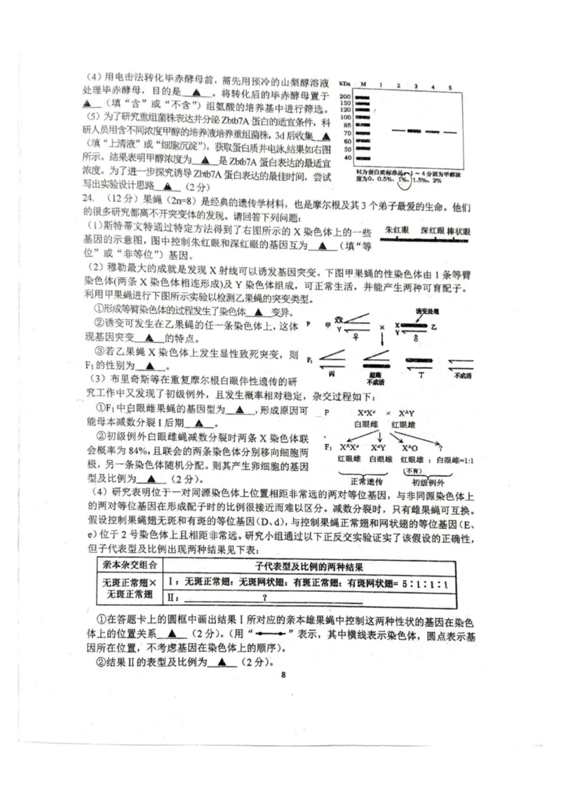 生物-江苏G4联考2026届高三年级上学期12月测试(南师附中、天一、海安、海门)_2024-2026高三（6-6月题库）_2025年12月高三试卷