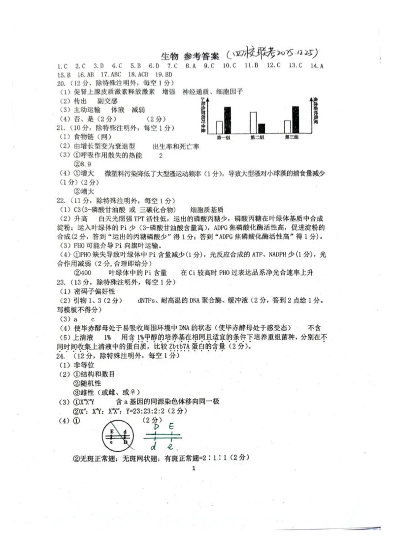 生物-江苏G4联考2026届高三年级上学期12月测试(南师附中、天一、海安、海门)_2024-2026高三（6-6月题库）_2025年12月高三试卷