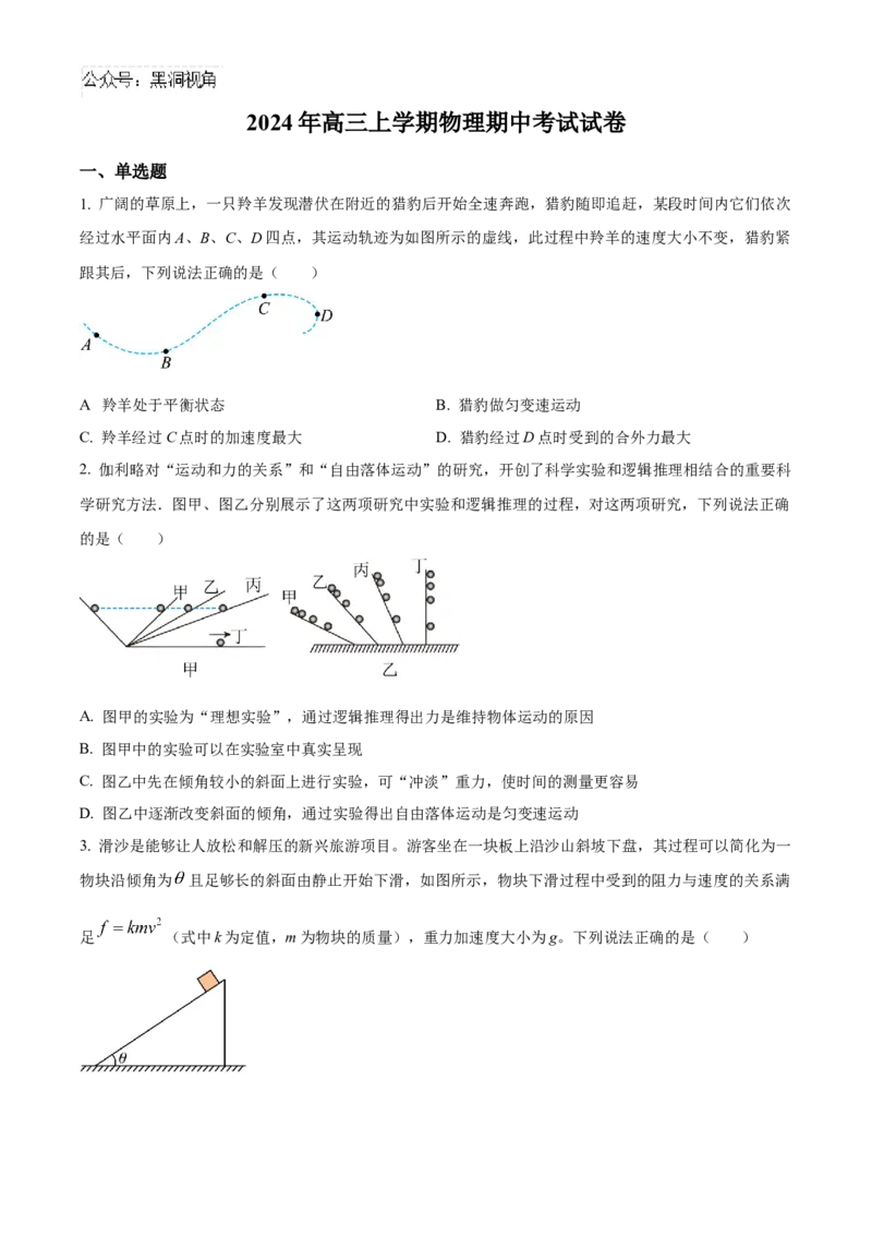 湖南省岳阳市临湘市2024-2025学年高三上学期11月期中物理试题Word版无答案_2024-2025高三（6-6月题库）_2024年11月试卷_1127湖南省岳阳市临湘市2024-2025学年高三上学期11月期中考试