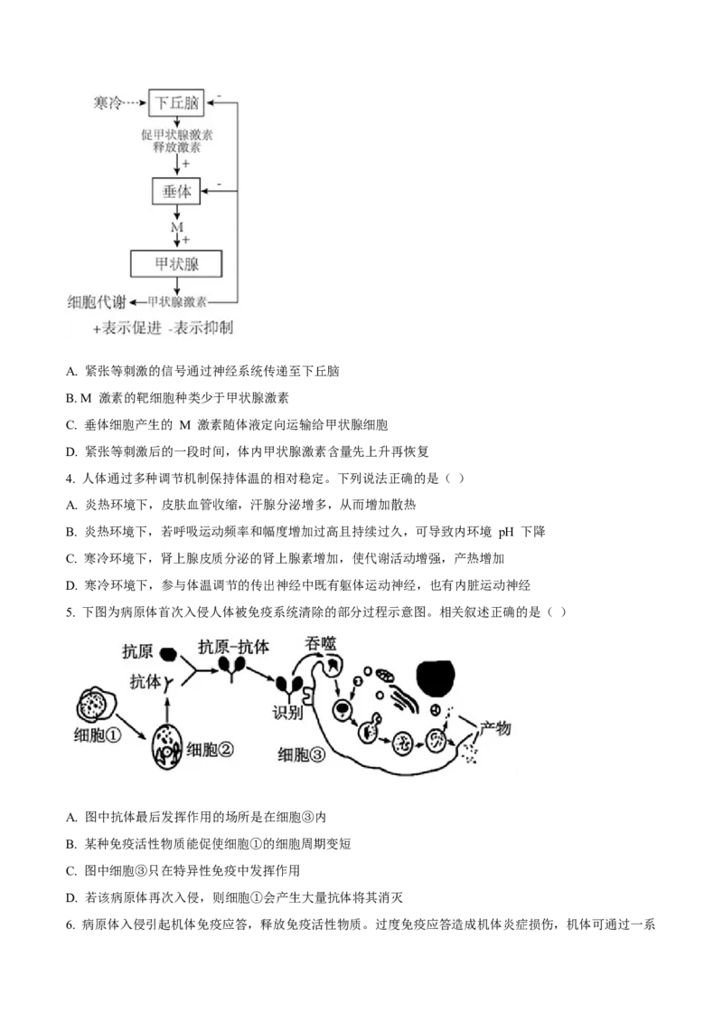 辽宁省丹东市2024-2025学年高二上学期期末考试生物Word版含答案_2024-2025高二（7-7月题库）_2025年03月试卷_0305辽宁省丹东市2024-2025学年高二上学期期末考试