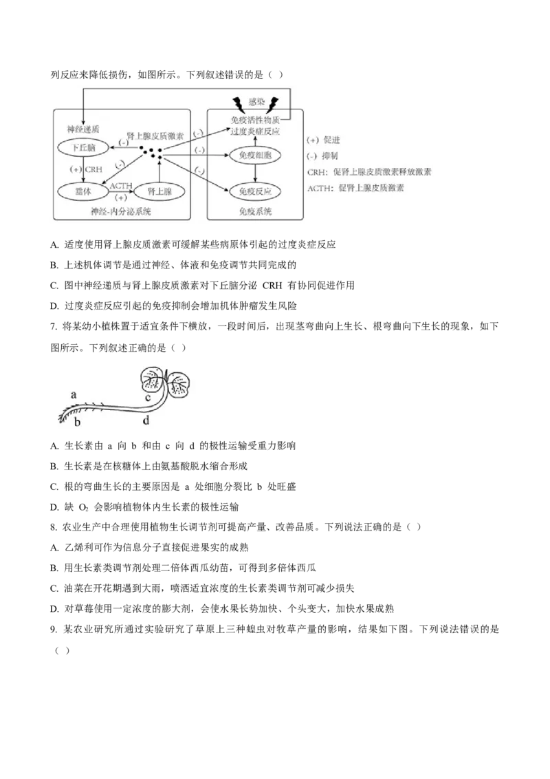辽宁省丹东市2024-2025学年高二上学期期末考试生物Word版含答案_2024-2025高二（7-7月题库）_2025年03月试卷_0305辽宁省丹东市2024-2025学年高二上学期期末考试