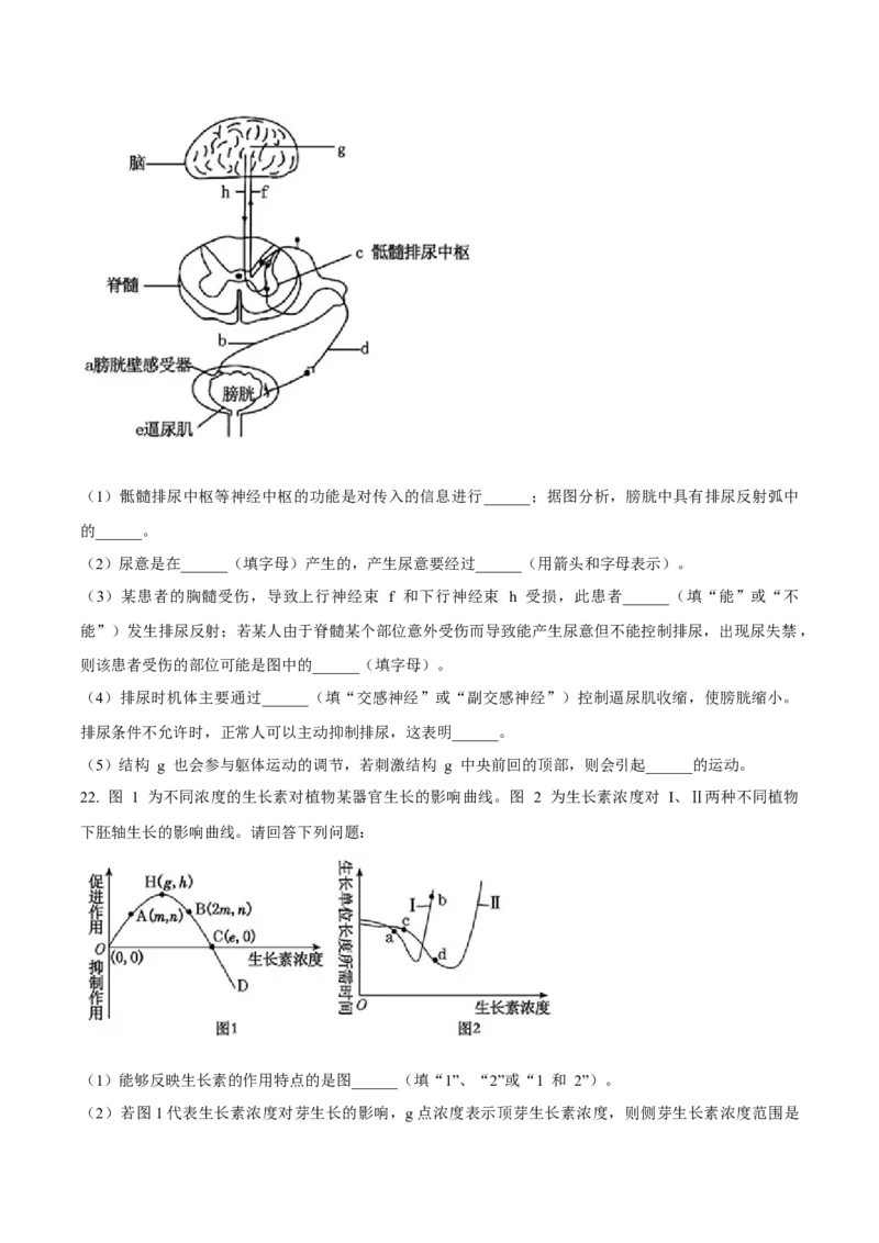 辽宁省丹东市2024-2025学年高二上学期期末考试生物Word版含答案_2024-2025高二（7-7月题库）_2025年03月试卷_0305辽宁省丹东市2024-2025学年高二上学期期末考试