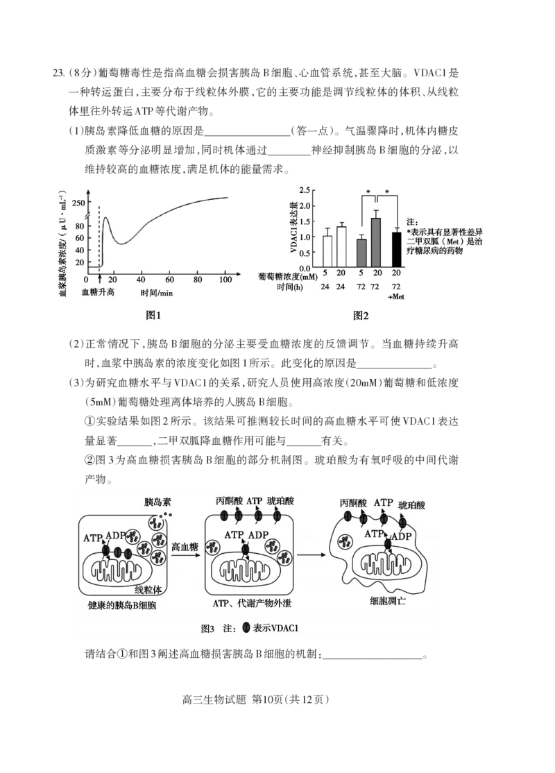 泰安市2026届高三上学期1月期末考试生物+答案_2024-2026高三（6-6月题库）_2026年01月高三试卷_0107山东省泰安市2026届高三上学期1月期末考试（全）