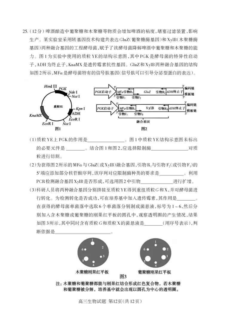 泰安市2026届高三上学期1月期末考试生物+答案_2024-2026高三（6-6月题库）_2026年01月高三试卷_0107山东省泰安市2026届高三上学期1月期末考试（全）
