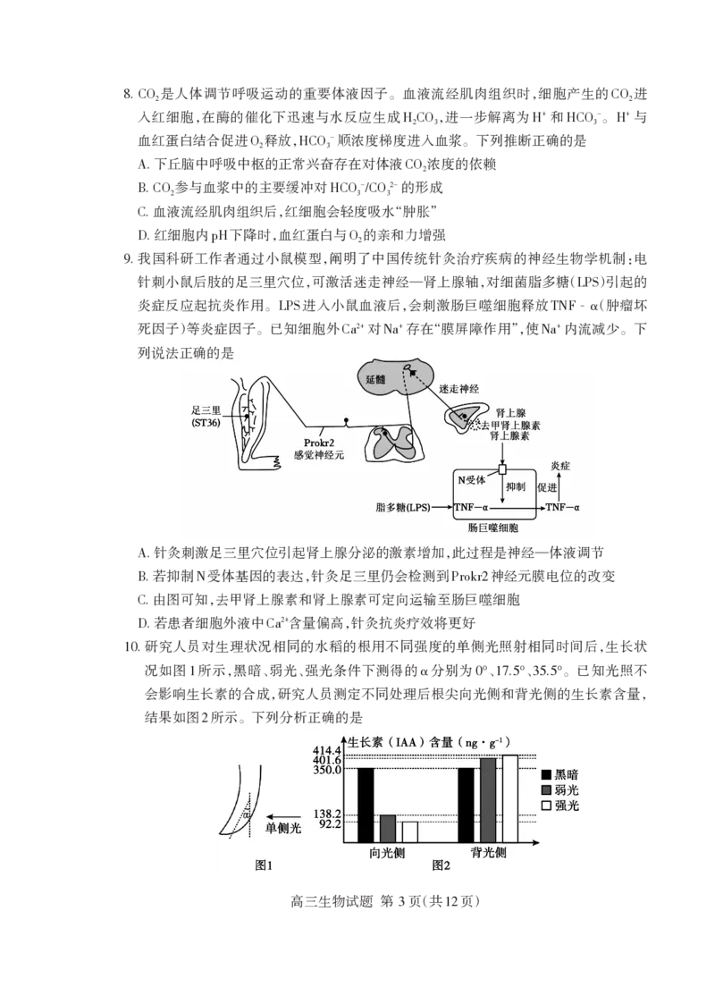 泰安市2026届高三上学期1月期末考试生物+答案_2024-2026高三（6-6月题库）_2026年01月高三试卷_0107山东省泰安市2026届高三上学期1月期末考试（全）