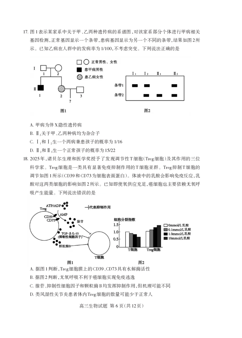 泰安市2026届高三上学期1月期末考试生物+答案_2024-2026高三（6-6月题库）_2026年01月高三试卷_0107山东省泰安市2026届高三上学期1月期末考试（全）