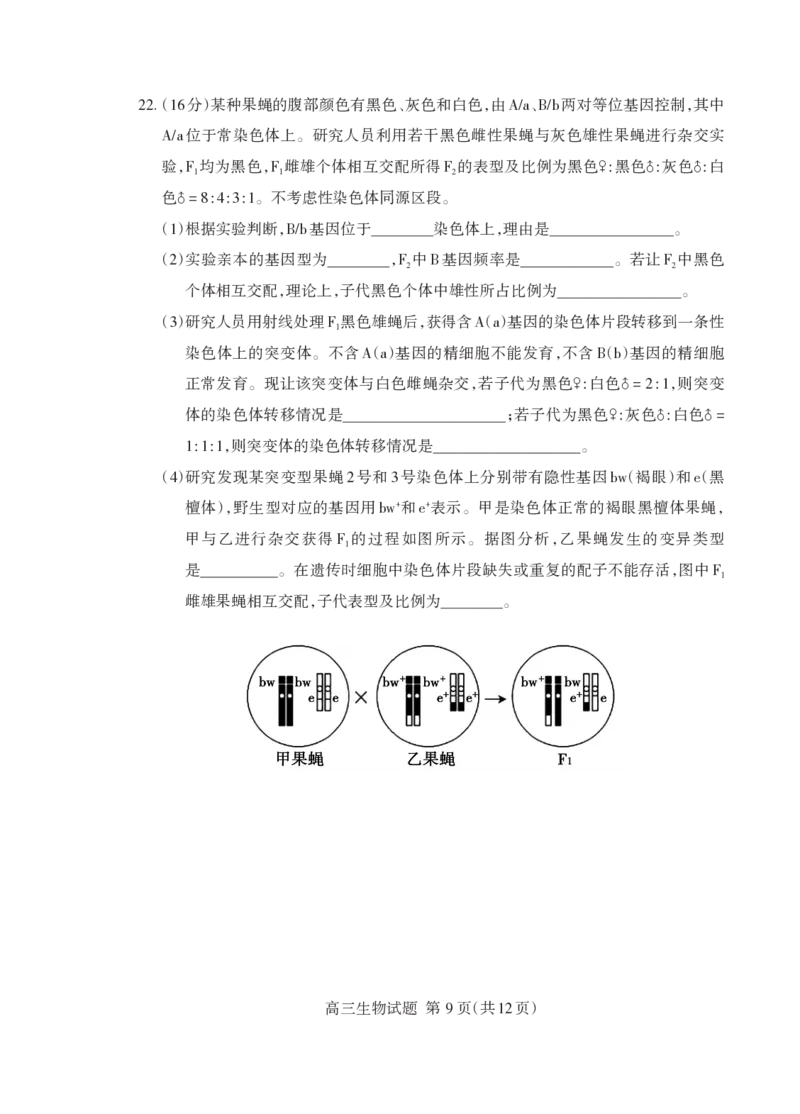 泰安市2026届高三上学期1月期末考试生物+答案_2024-2026高三（6-6月题库）_2026年01月高三试卷_0107山东省泰安市2026届高三上学期1月期末考试（全）