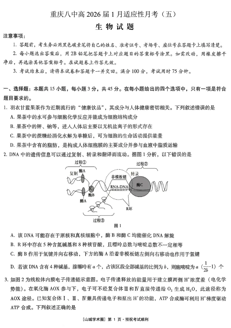重庆市第八中学2026届高考适应性月考卷（五）生物_2024-2026高三（6-6月题库）_2026年01月高三试卷_0117重庆市第八中学2026届高考适应性月考卷（五）（全）