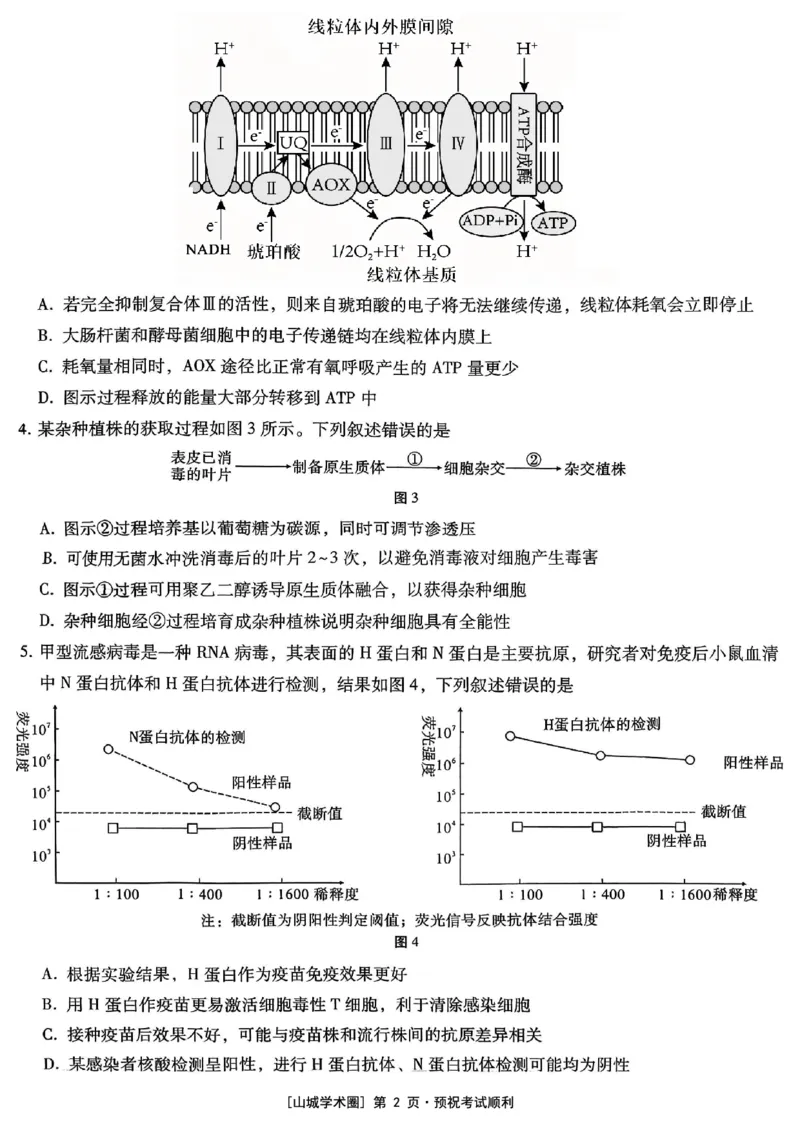 重庆市第八中学2026届高考适应性月考卷（五）生物_2024-2026高三（6-6月题库）_2026年01月高三试卷_0117重庆市第八中学2026届高考适应性月考卷（五）（全）