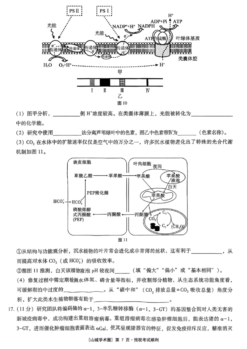 重庆市第八中学2026届高考适应性月考卷（五）生物_2024-2026高三（6-6月题库）_2026年01月高三试卷_0117重庆市第八中学2026届高考适应性月考卷（五）（全）