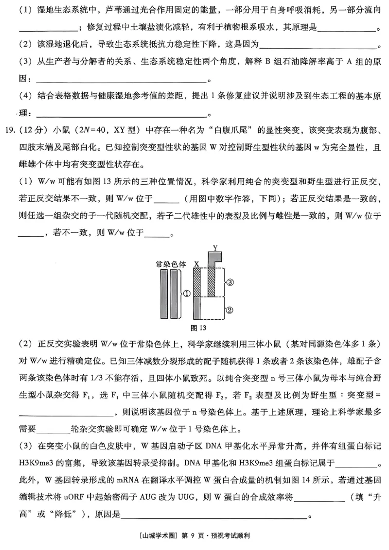 重庆市第八中学2026届高考适应性月考卷（五）生物_2024-2026高三（6-6月题库）_2026年01月高三试卷_0117重庆市第八中学2026届高考适应性月考卷（五）（全）