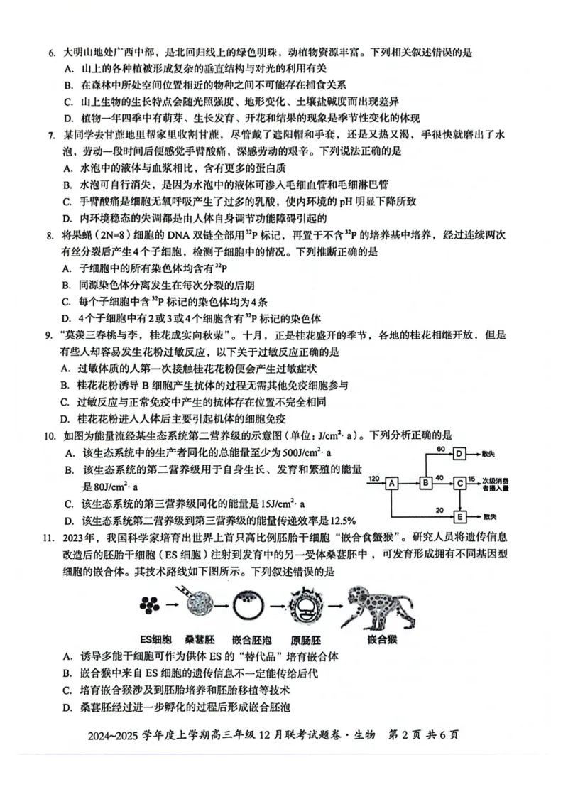 生物试卷_2024-2025高三（6-6月题库）_2024年12月试卷_1221广西壮族自治区邕衡教育&bull;名校联盟2024年-2025年度上学期高三年级12月联考