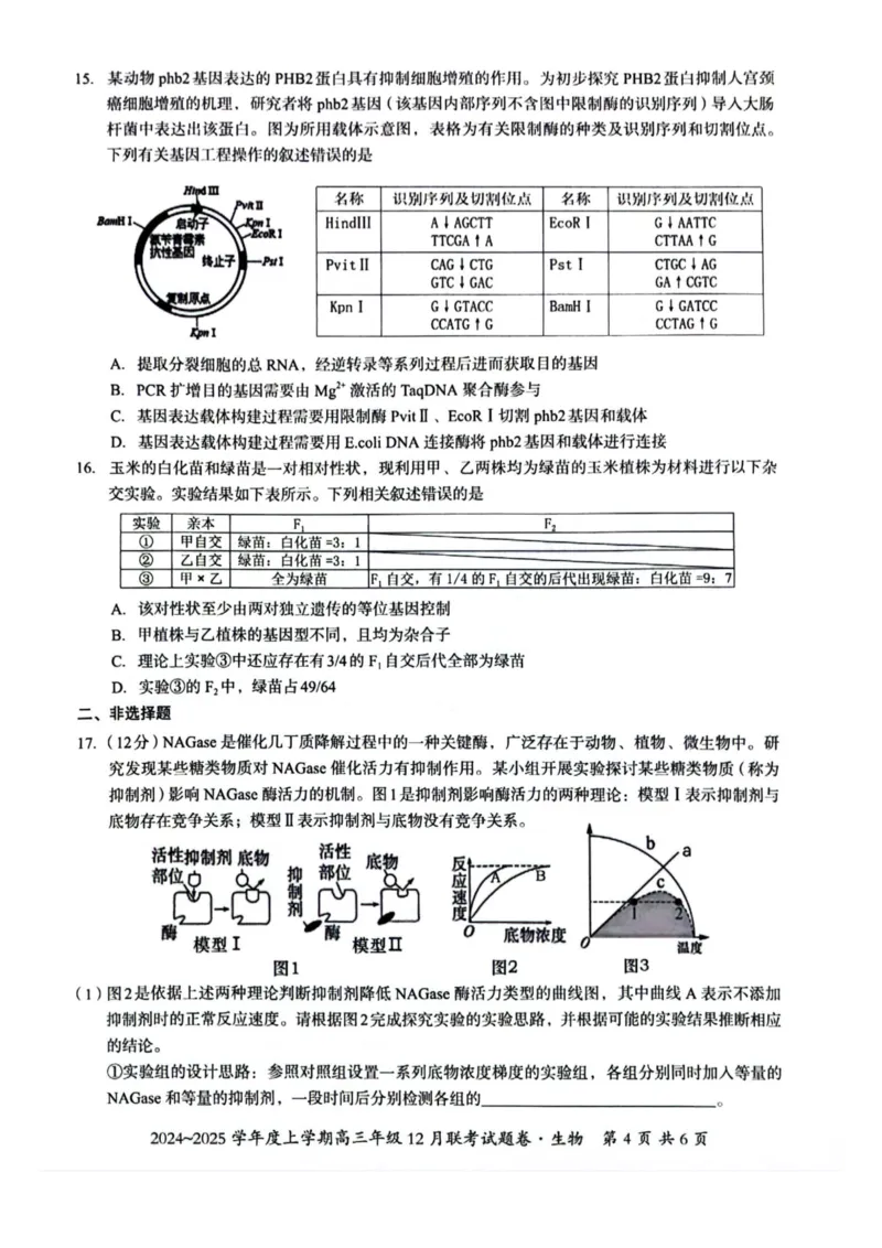 生物试卷_2024-2025高三（6-6月题库）_2024年12月试卷_1221广西壮族自治区邕衡教育&bull;名校联盟2024年-2025年度上学期高三年级12月联考