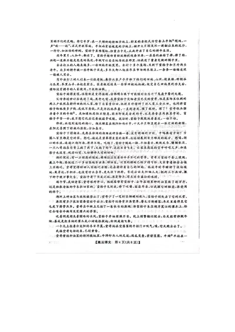 陕西省十七校2024-2025学年高三上学期11月期中联考语文试题_2024-2025高三（6-6月题库）_2024年11月试卷_1129陕西省十七校联考2024-2025学年高三上学期11月期中考试