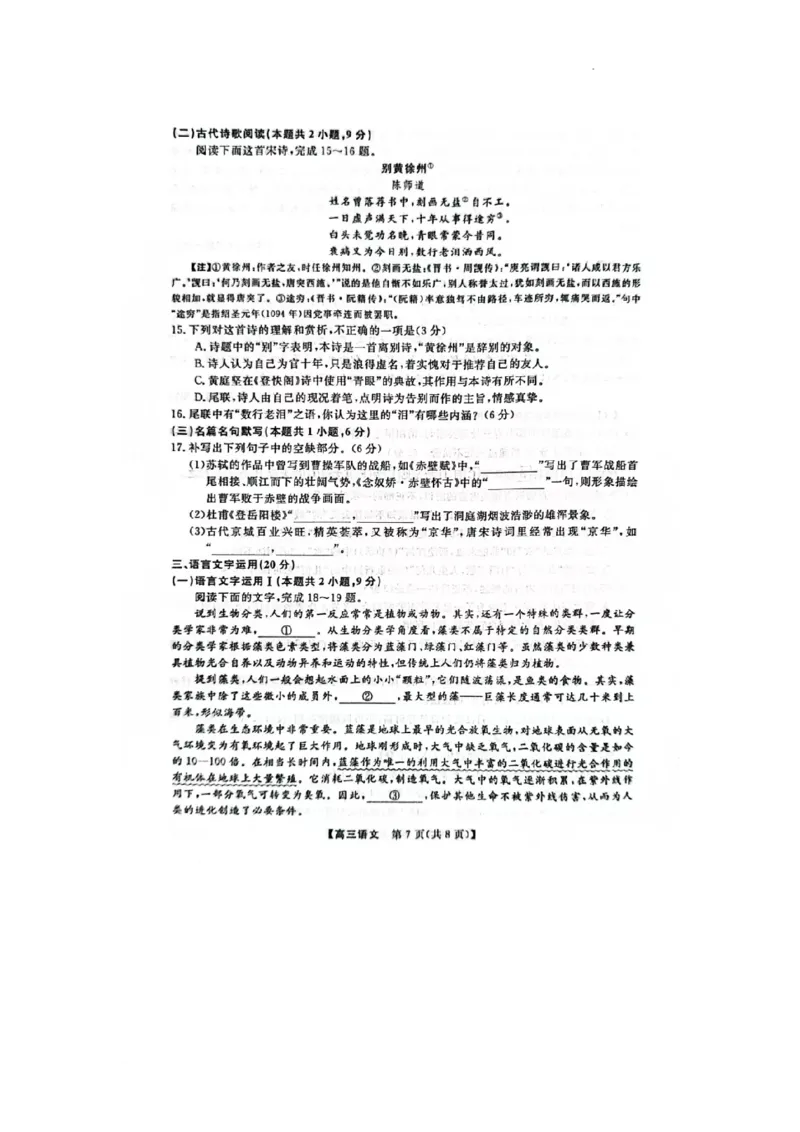 陕西省十七校2024-2025学年高三上学期11月期中联考语文试题_2024-2025高三（6-6月题库）_2024年11月试卷_1129陕西省十七校联考2024-2025学年高三上学期11月期中考试