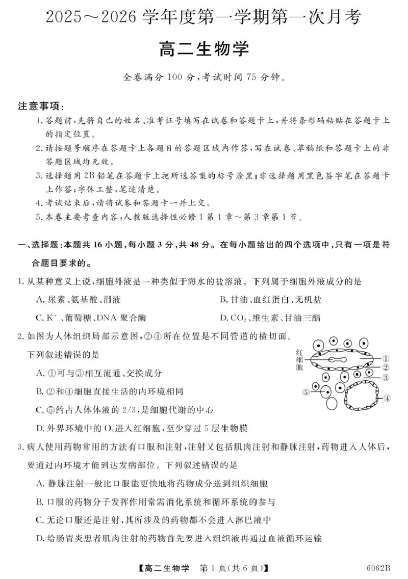 甘肃省多校2025-2026学年高二上学期第一次月考试题生物PDF版含解析_2025年11月高二试卷_251103甘肃省多校2025-2026学年高二上学期第一次月考试题（全）