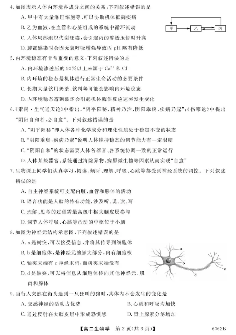甘肃省多校2025-2026学年高二上学期第一次月考试题生物PDF版含解析_2025年11月高二试卷_251103甘肃省多校2025-2026学年高二上学期第一次月考试题（全）