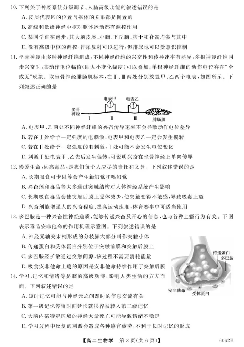 甘肃省多校2025-2026学年高二上学期第一次月考试题生物PDF版含解析_2025年11月高二试卷_251103甘肃省多校2025-2026学年高二上学期第一次月考试题（全）