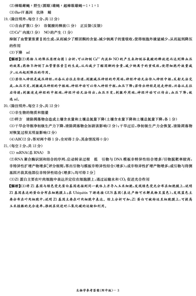 湖南师范大学附属中学2024-2025学年高三上学期月考卷（三）生物答案（附中高三3次）_2024-2025高三（6-6月题库）_2024年11月试卷_11142025届湖南师大附中高三上学期月考卷（三）（全科）