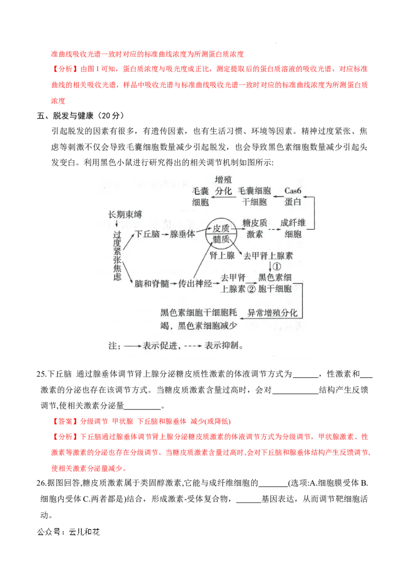 高二生物期中模拟卷（全解全析）（上海专用）_2024-2025高二（7-7月题库）_2024年10月试卷_1021高二期中模拟卷（上海专用）黄金卷：2024-2025学年高二上学期期中模拟考试
