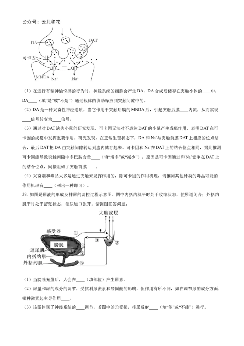 黑龙江省哈尔滨市第九中学2024-2025学年高二上学期10月月考试题生物Word版含答案_2024-2025高二（7-7月题库）_2024年11月试卷_1101黑龙江省哈尔滨市第九中学2024-2025学年高二上学期10月月考