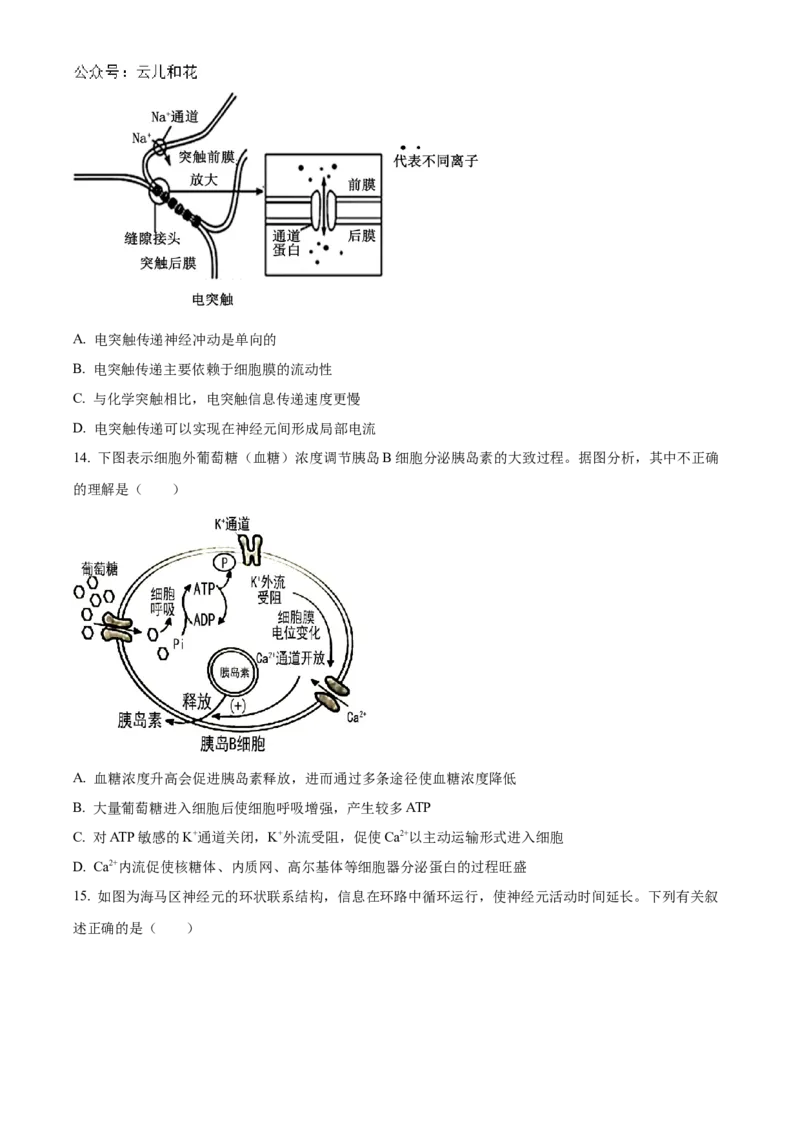 黑龙江省哈尔滨市第九中学2024-2025学年高二上学期10月月考试题生物Word版含答案_2024-2025高二（7-7月题库）_2024年11月试卷_1101黑龙江省哈尔滨市第九中学2024-2025学年高二上学期10月月考