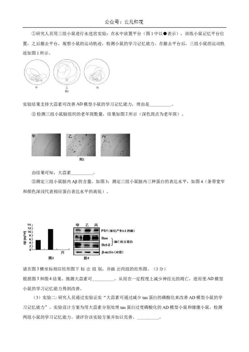 重庆市长寿中学2024-2025学年高二上学期12月月考生物试题Word版含答案_2024-2025高二（7-7月题库）_2024年12月试卷_1211重庆市长寿中学2024-2025学年高二上学期12月月考