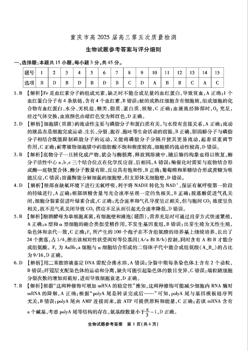 重庆市南开中学高2025届高三第五次质量检测生物答案_2024-2025高三（6-6月题库）_2025年01月试卷_0107重庆市南开中学高2025届高三第五次质量检测（全科）