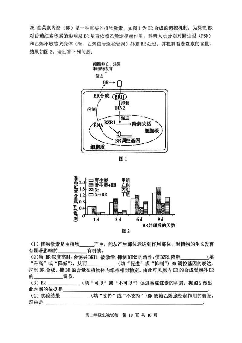 高二年级生物试卷_2024-2025高二（7-7月题库）_2026年1月高二_260123辽宁省沈阳市五校协作体2025-2026学年高二上学期1月期末考试（全）