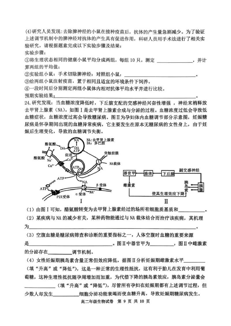 高二年级生物试卷_2024-2025高二（7-7月题库）_2026年1月高二_260123辽宁省沈阳市五校协作体2025-2026学年高二上学期1月期末考试（全）